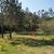 Loteamento e Condomínio, 503 m² - Foto 6