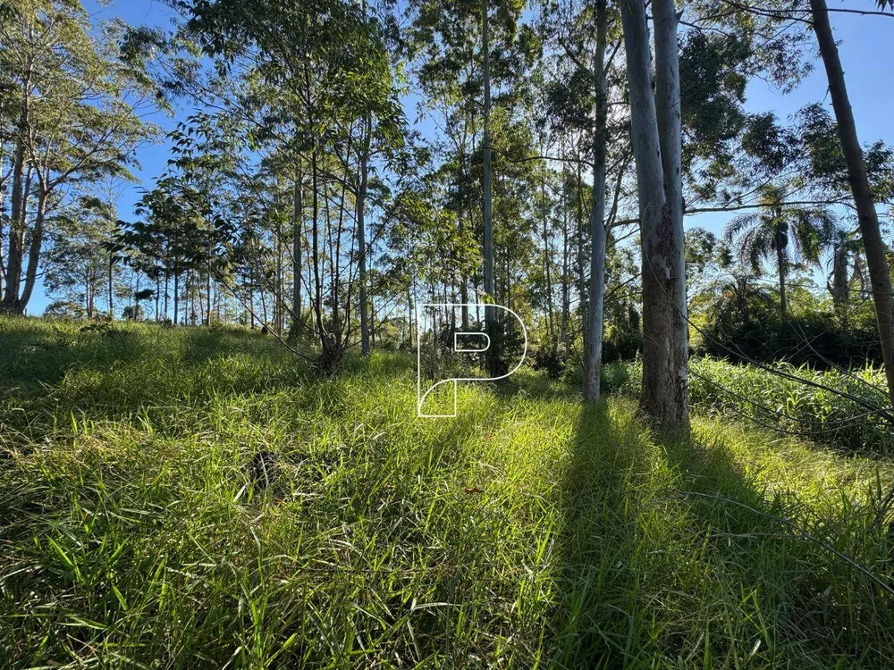Terreno, 7000 m² - Foto 8