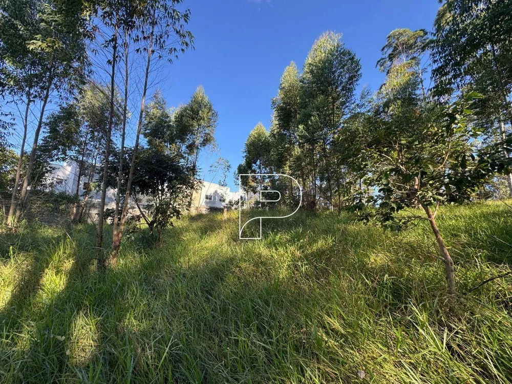 Terreno, 7000 m² - Foto 7