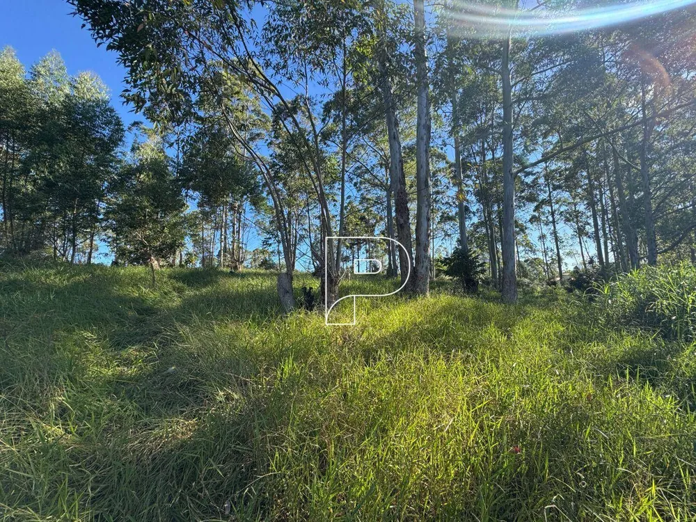 Terreno, 7000 m² - Foto 1