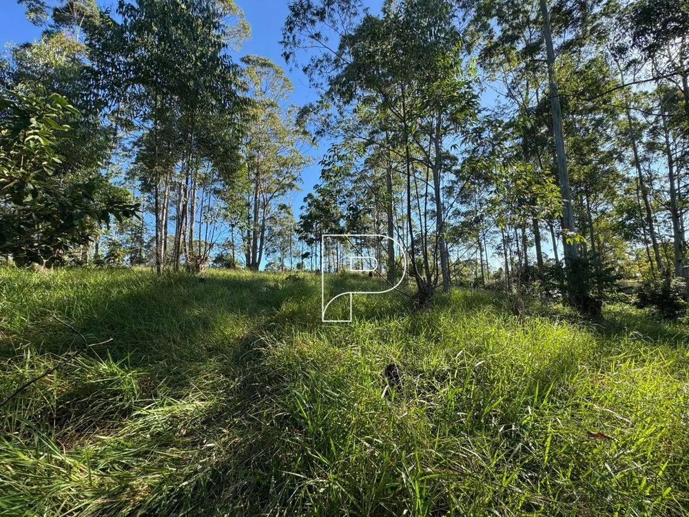 Terreno, 7000 m² - Foto 9