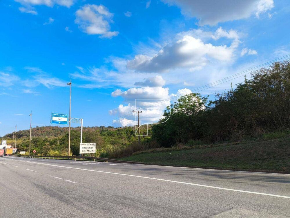 Terreno, 33 hectares - Foto 12