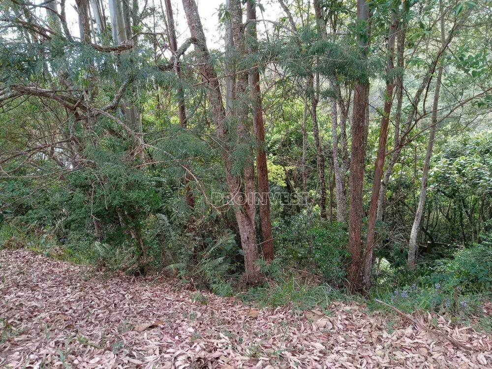 Loteamento e Condomínio, 783 m² - Foto 3