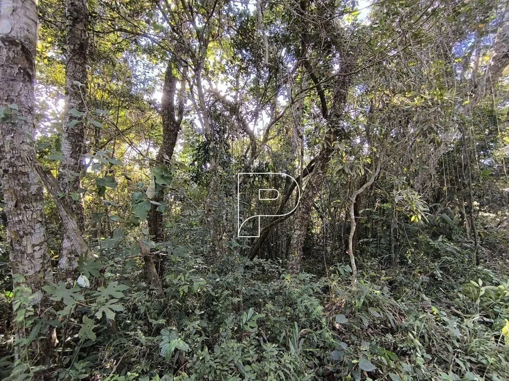 Terreno, 2 hectares - Foto 4