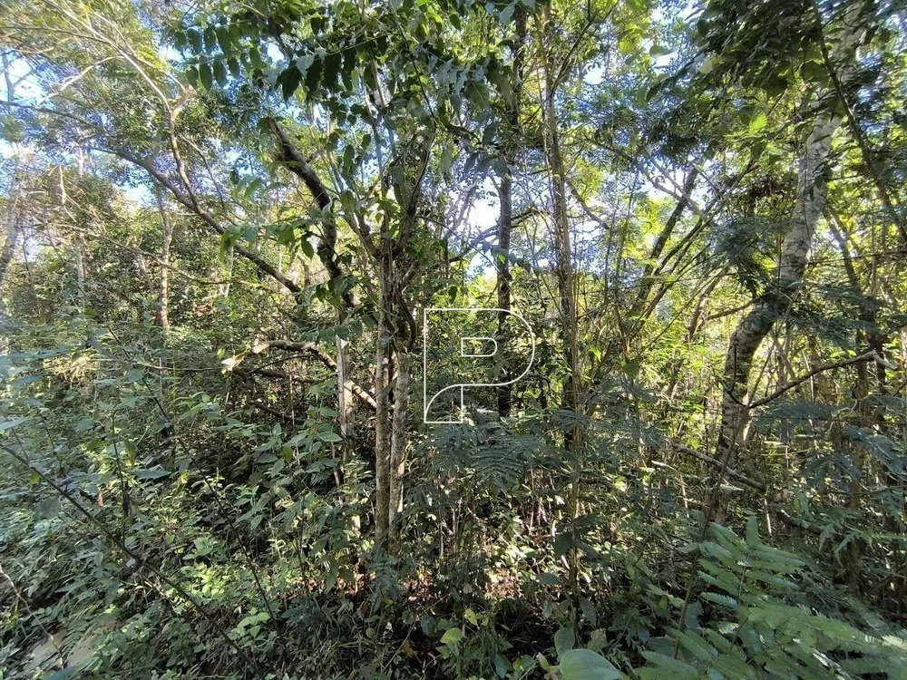 Terreno, 2 hectares - Foto 11