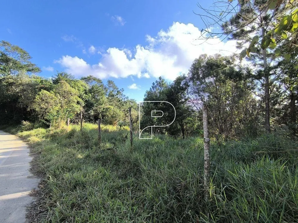 Terreno, 2 hectares - Foto 7