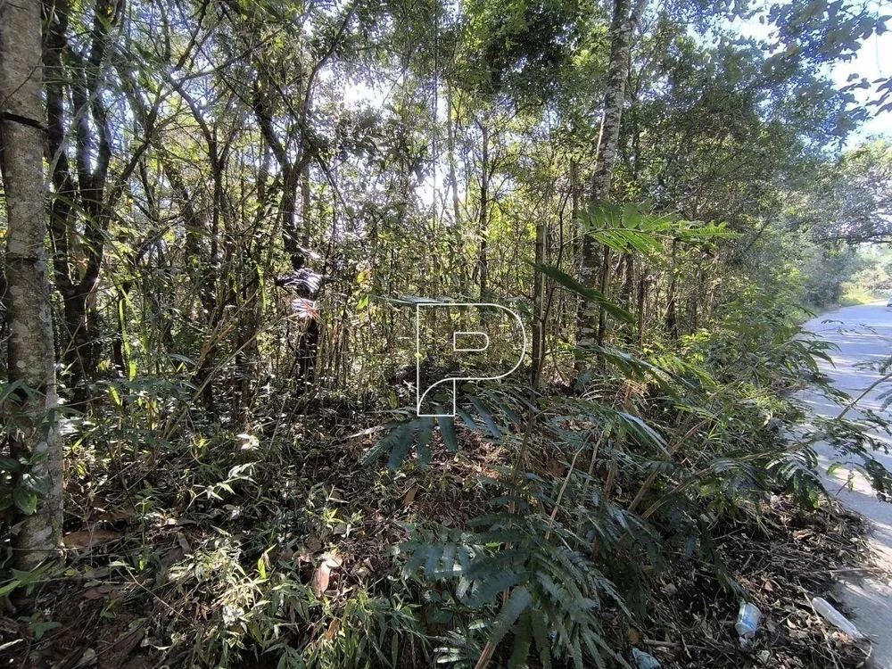 Terreno, 2 hectares - Foto 8
