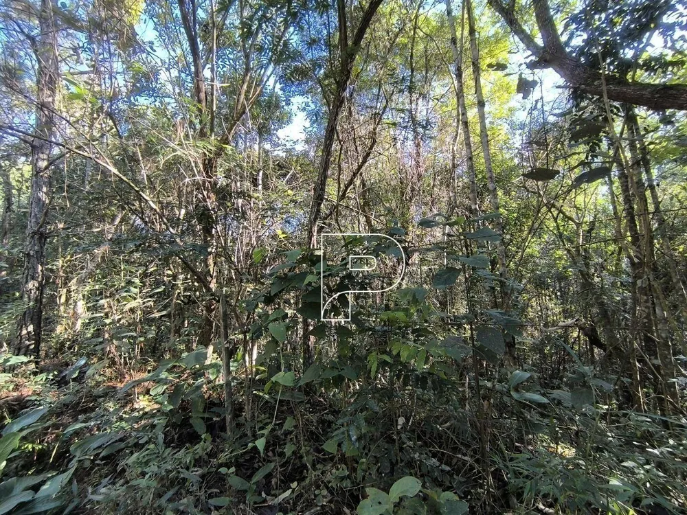 Terreno, 2 hectares - Foto 9