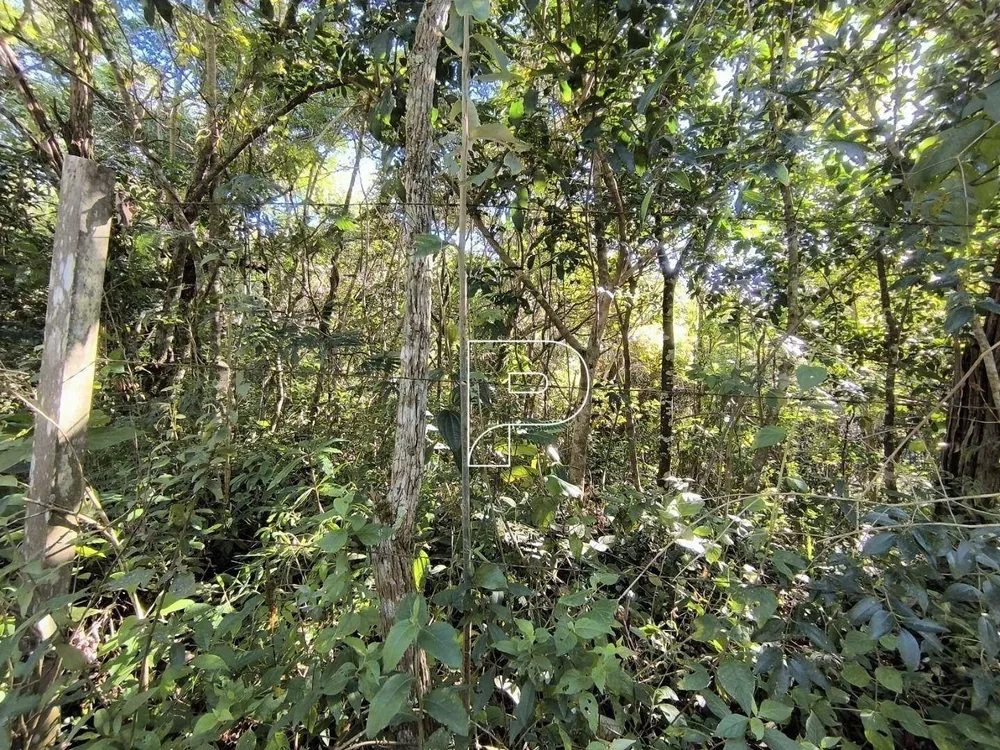 Terreno, 2 hectares - Foto 12