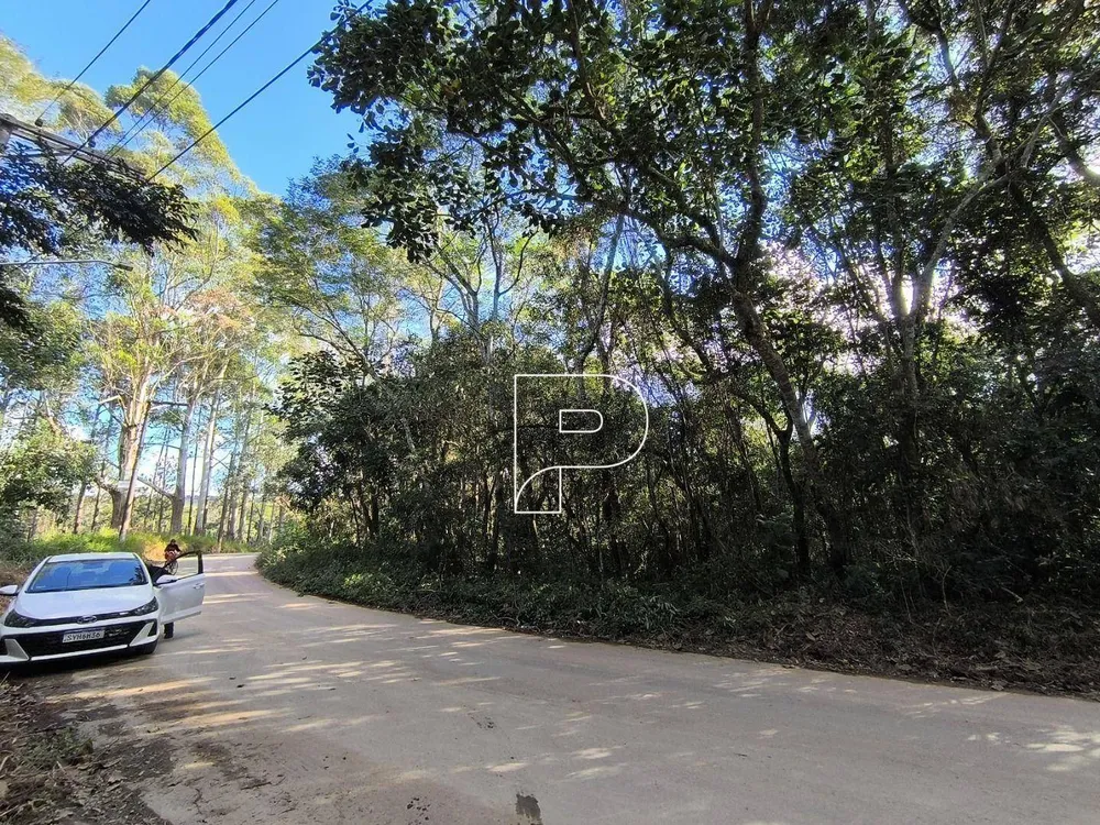 Terreno, 2 hectares - Foto 3