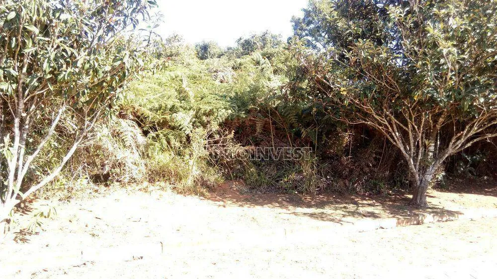Loteamento e Condomínio, 800 m² - Foto 2