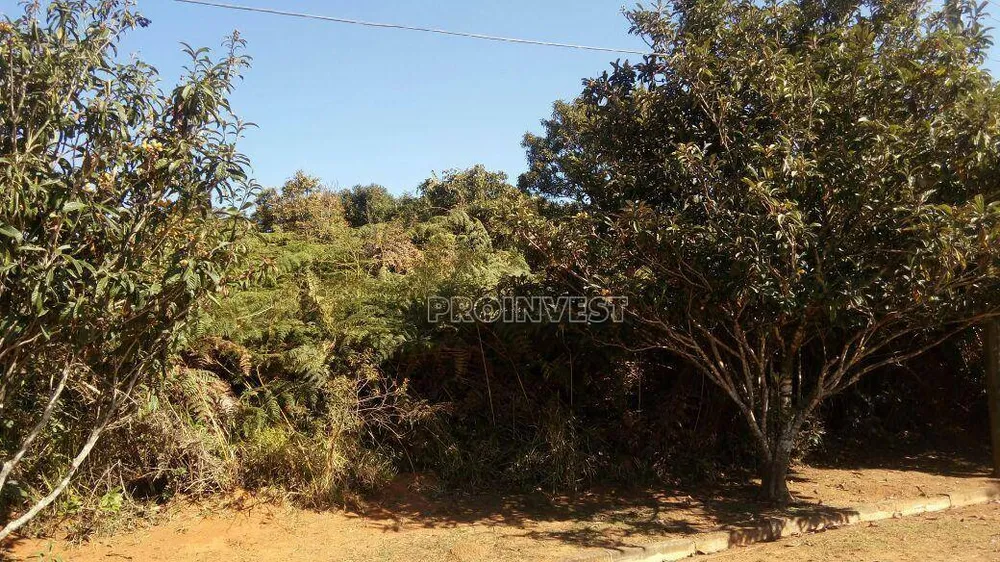 Loteamento e Condomínio, 800 m² - Foto 3