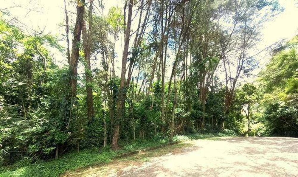 Loteamento e Condomínio, 1688 m² - Foto 1