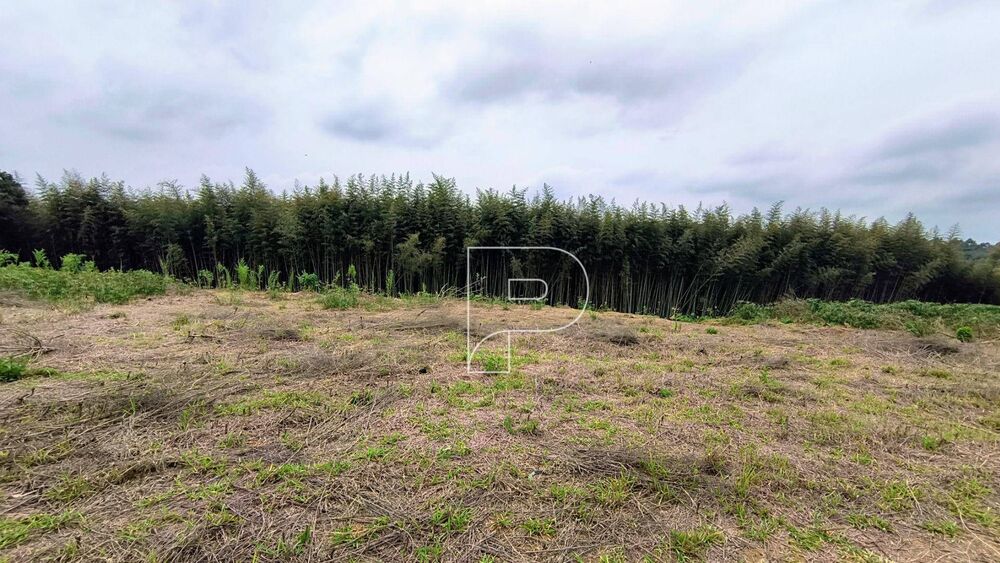 Terreno, 2441 m² - Foto 1