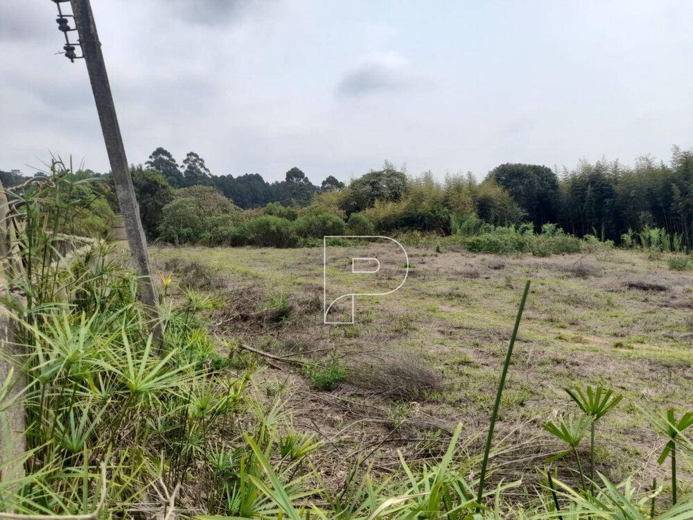 Terreno, 2441 m² - Foto 5