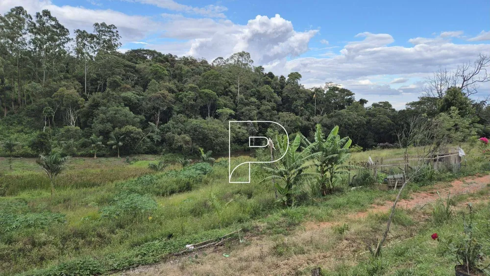 Terreno, 19 hectares - Foto 7