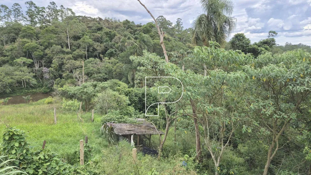 Terreno, 19 hectares - Foto 4