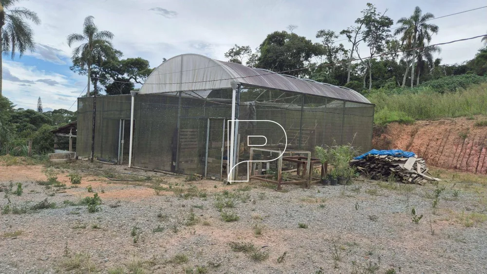Terreno, 19 hectares - Foto 3