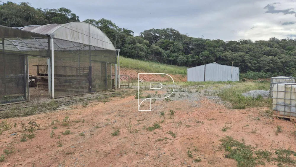 Terreno, 19 hectares - Foto 6