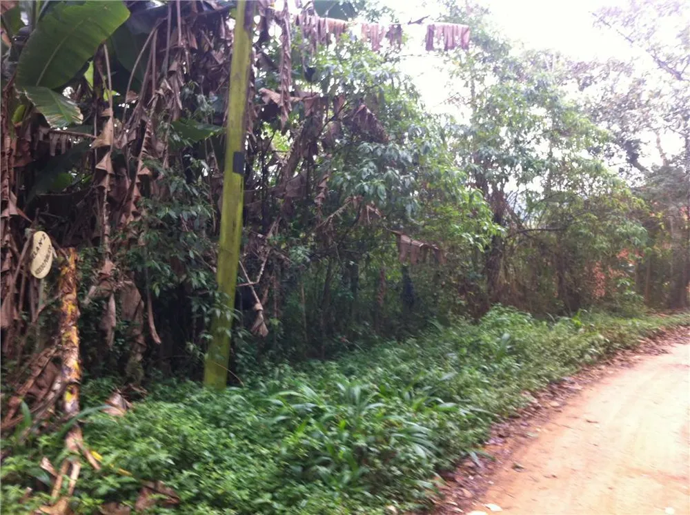 Loteamento e Condomínio, 2000 m² - Foto 2
