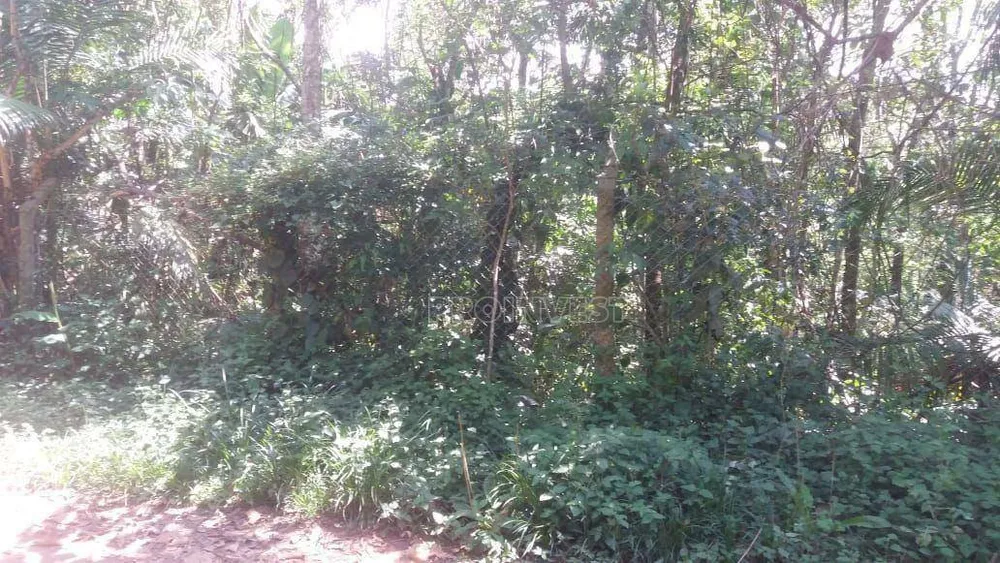Loteamento e Condomínio, 2000 m² - Foto 4