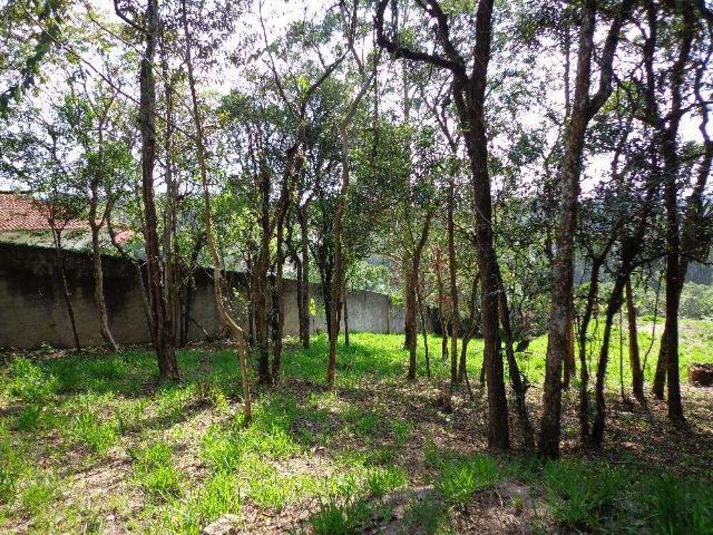 Terreno, 3142 m² - Foto 7