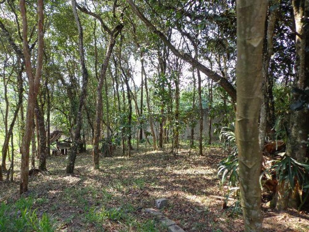 Terreno, 3142 m² - Foto 6