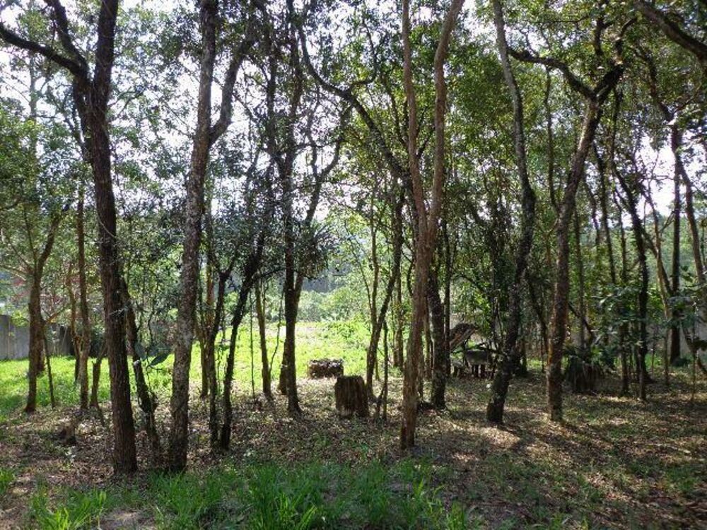 Terreno, 3142 m² - Foto 5