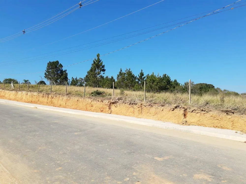 Terreno, 9 hectares - Foto 4