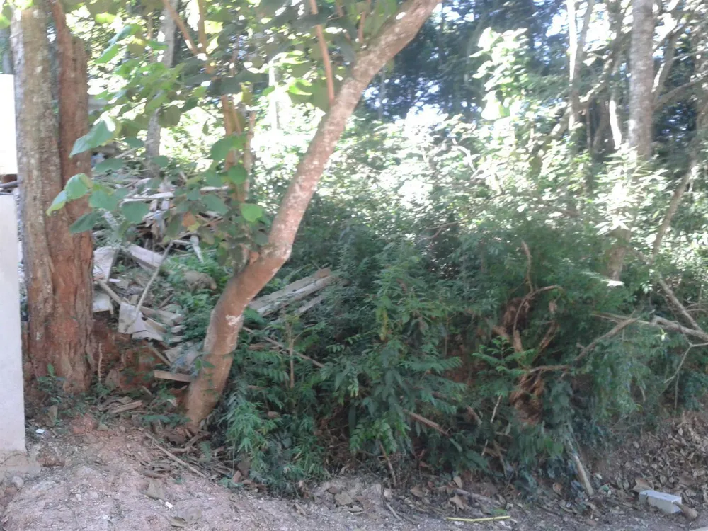 Loteamento e Condomínio, 500 m² - Foto 2