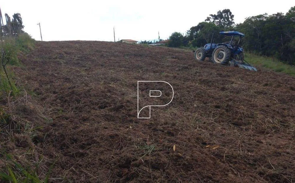 Terreno, 2 hectares - Foto 7