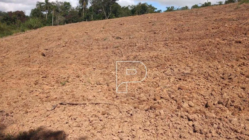 Terreno, 2 hectares - Foto 3