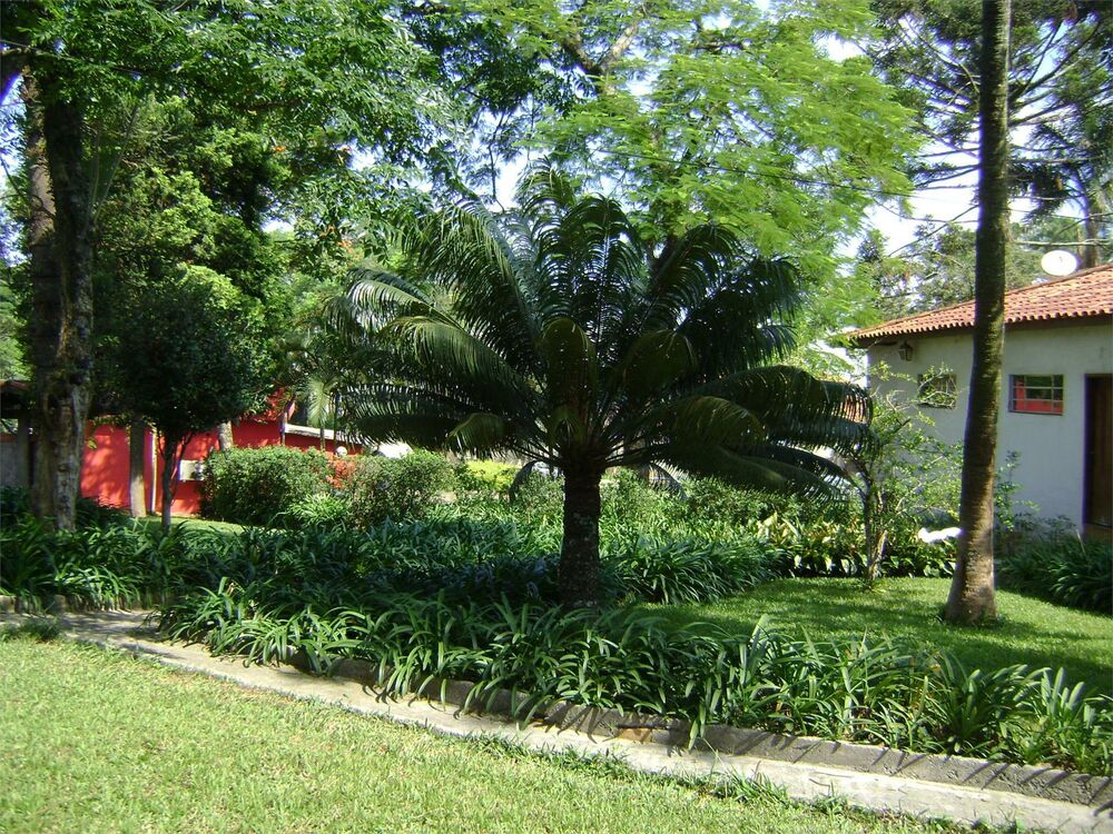 Terreno, 2641 m² - Foto 14