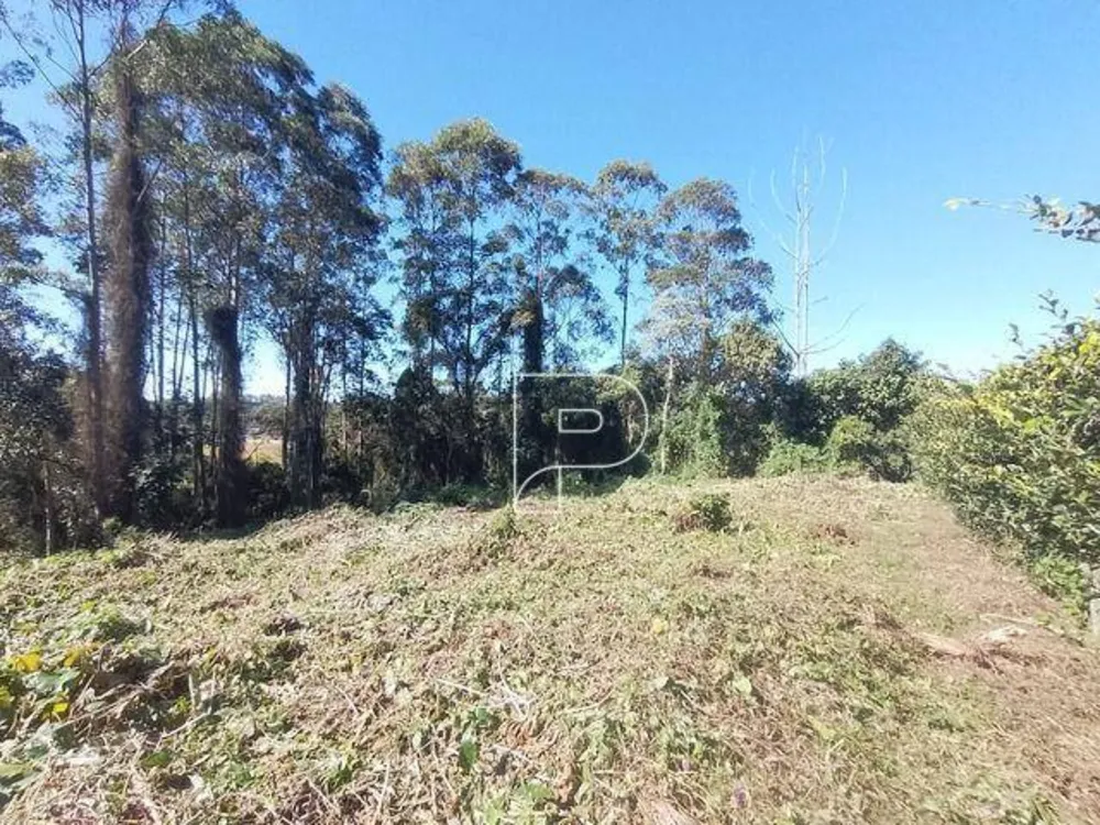 Loteamento e Condomínio, 1403 m² - Foto 6