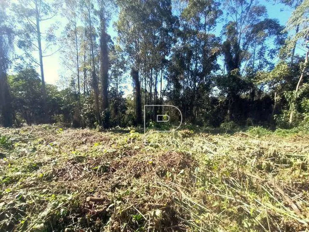 Loteamento e Condomínio, 1403 m² - Foto 7