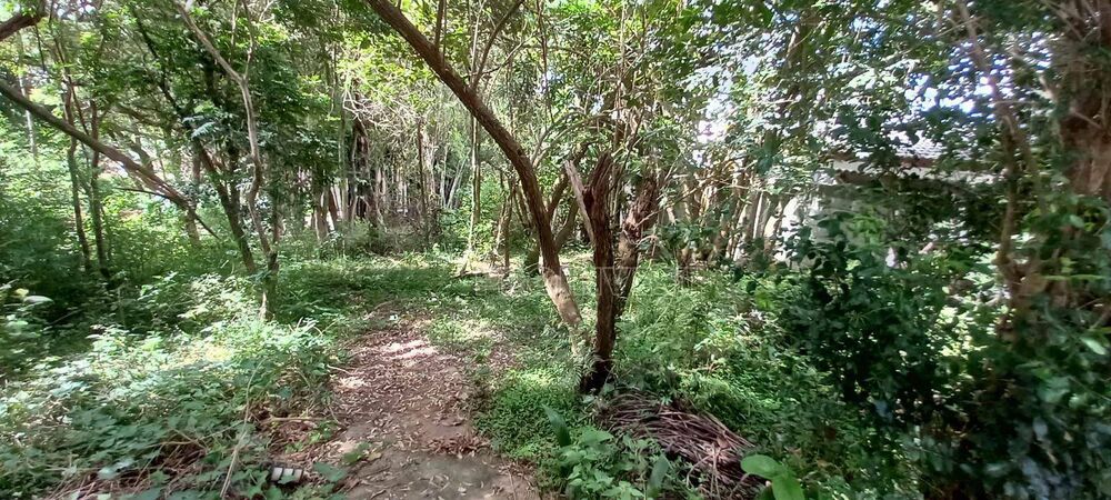 Loteamento e Condomínio, 800 m² - Foto 2