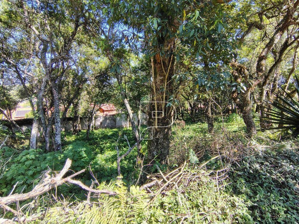 Loteamento e Condomínio, 700 m² - Foto 5