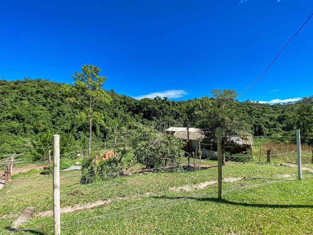 Terreno, 14 hectares - Foto 4