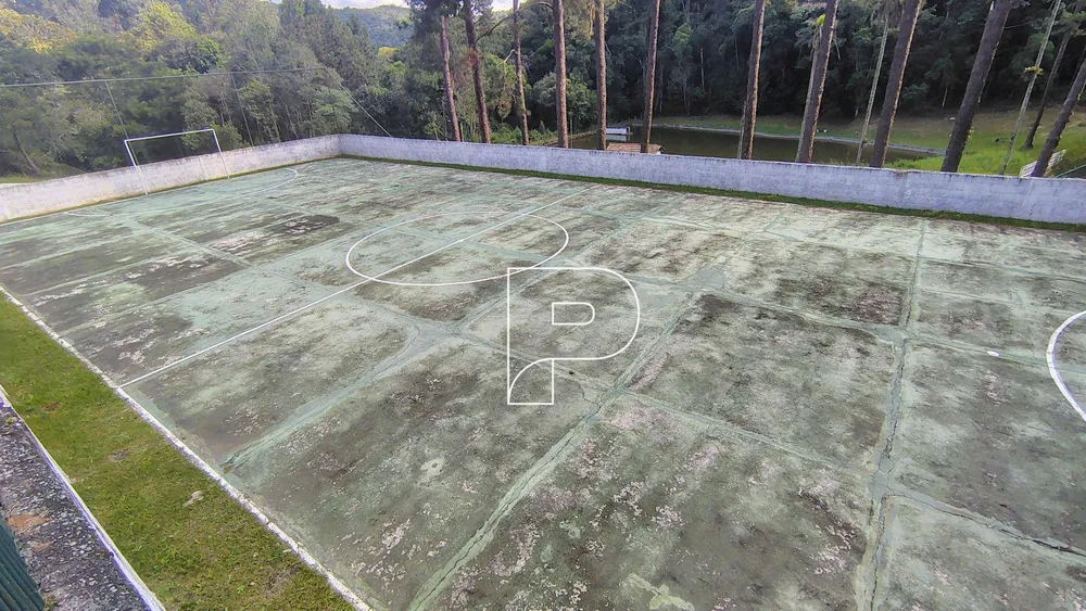 Sítio, 4 quartos, 12 hectares - Foto 11