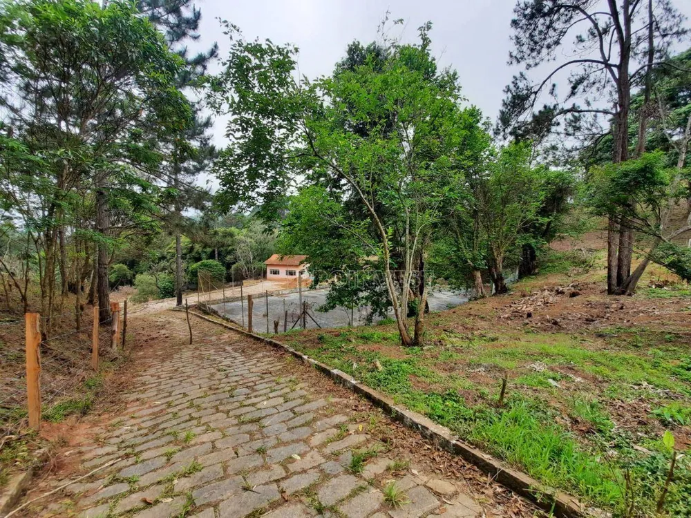 Terreno, 2 hectares - Foto 2