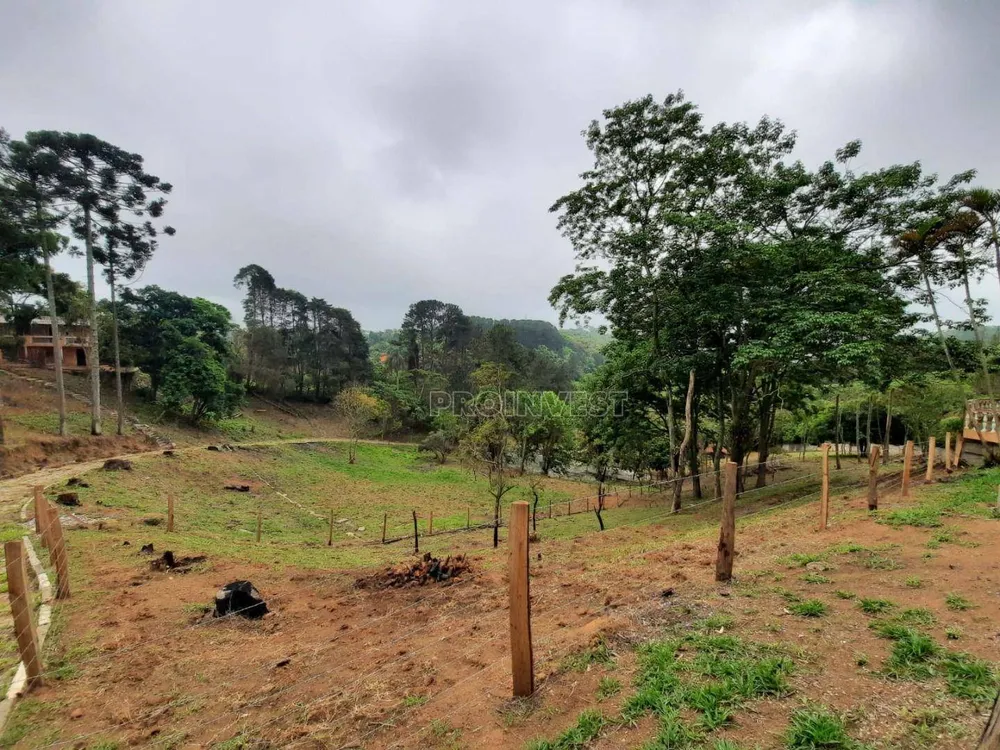 Terreno, 2 hectares - Foto 3