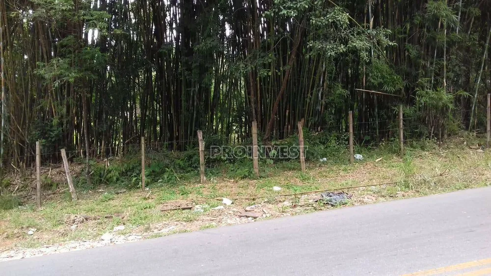 Terreno, 2 hectares - Foto 8