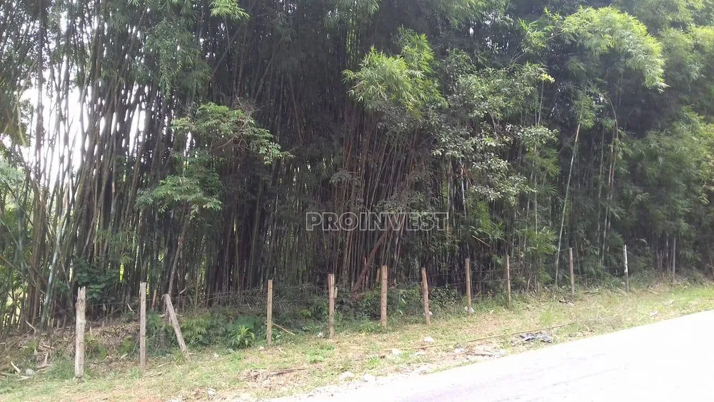 Terreno, 2 hectares - Foto 9