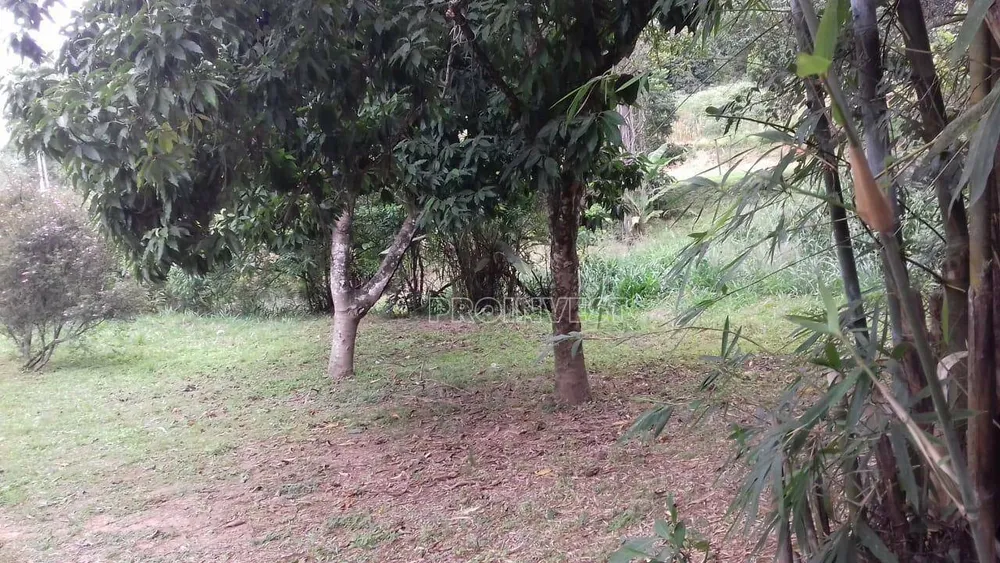 Terreno, 2 hectares - Foto 7