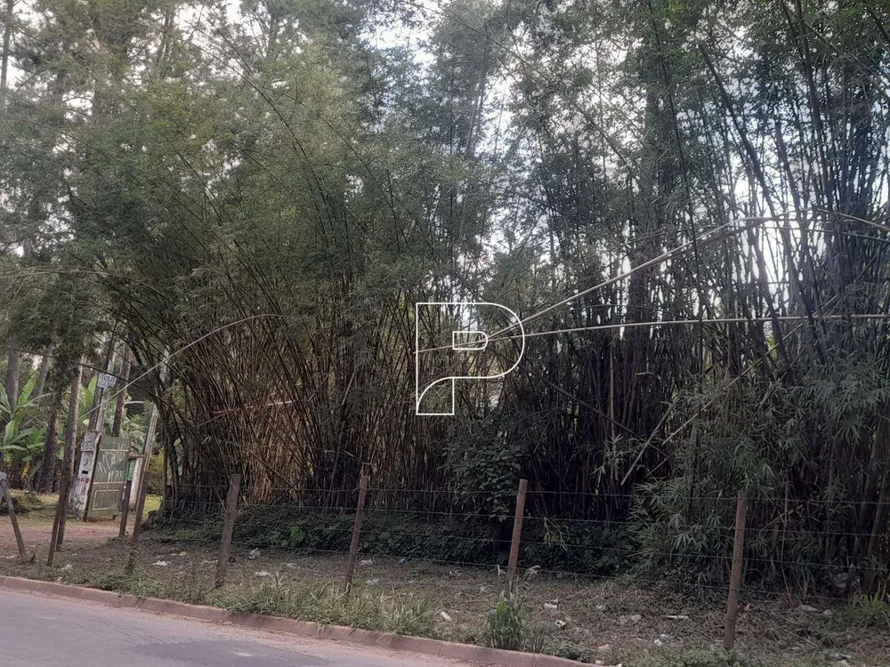 Terreno, 2 hectares - Foto 4