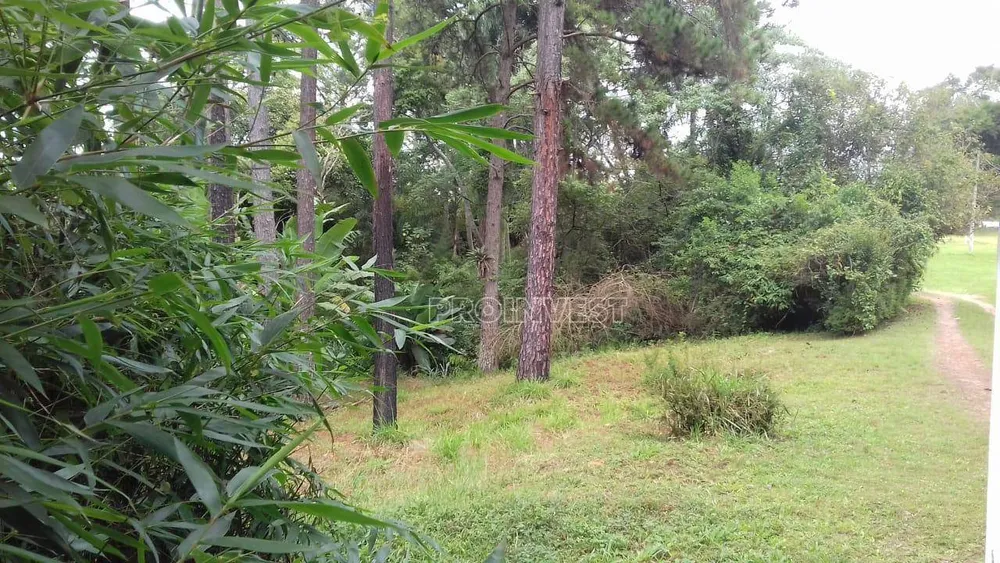 Terreno, 2 hectares - Foto 6