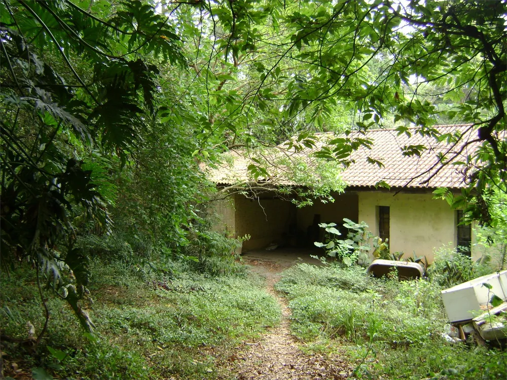 Terreno, 8897 m² - Foto 4