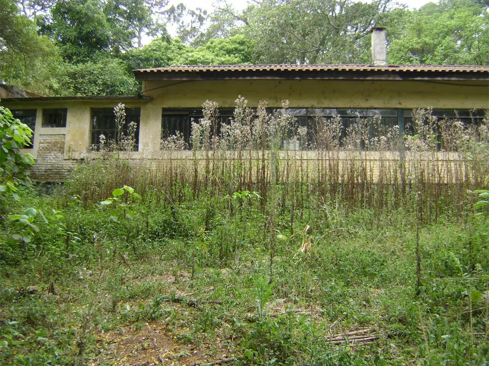 Terreno, 8897 m² - Foto 5