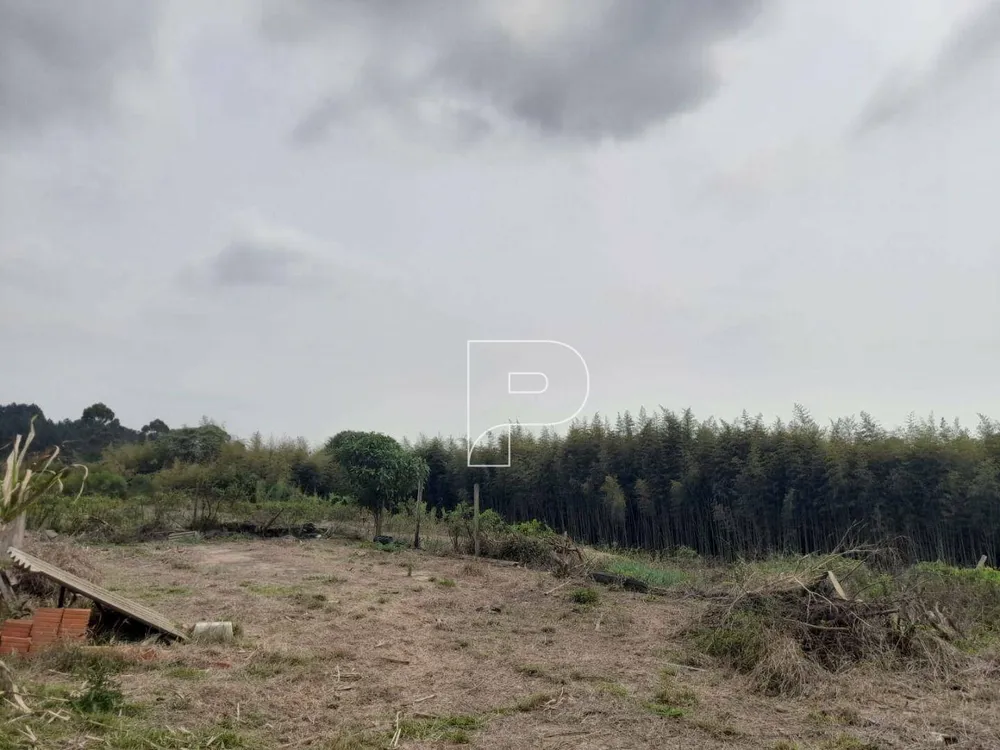 Terreno, 2205 m² - Foto 5
