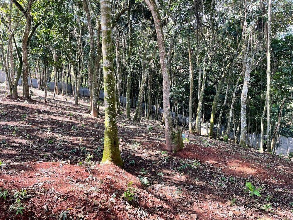 Loteamento e Condomínio, 2500 m² - Foto 4